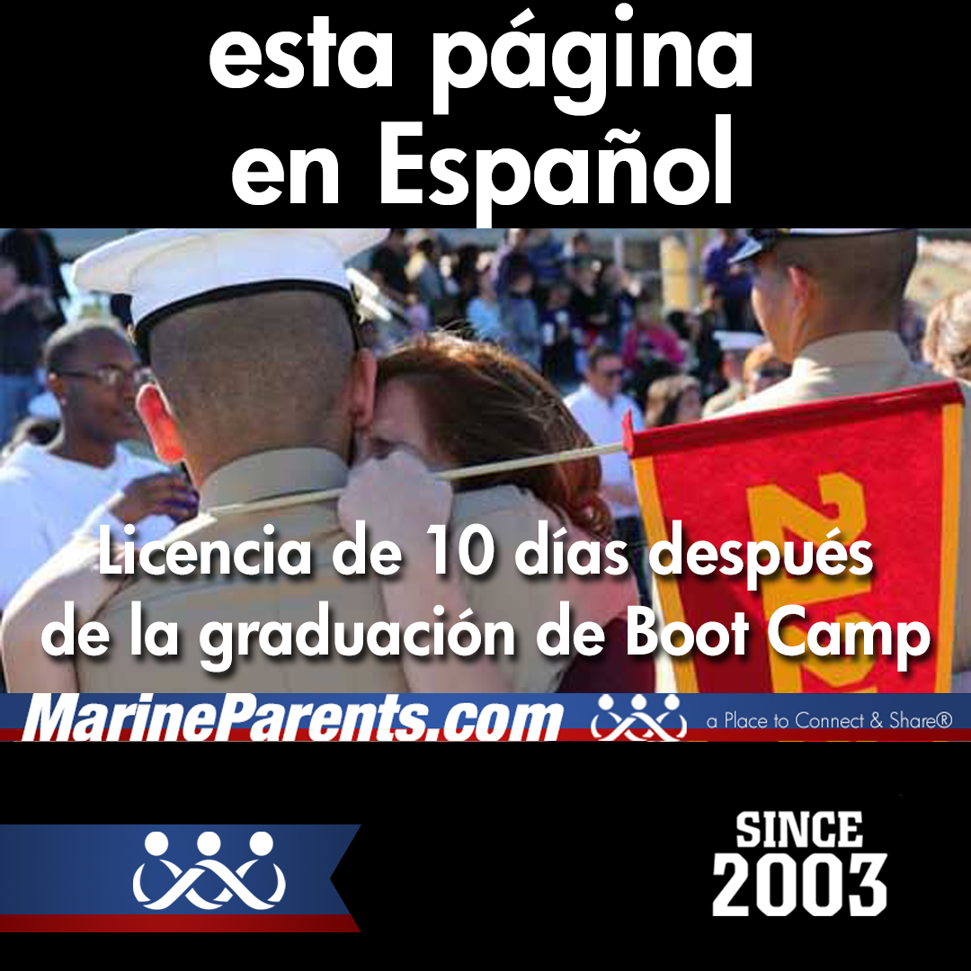 Licencia de 10 Días